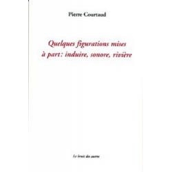 QUELQUES FIGURATIONS MISES A PART : induire, sonore, rivière | 9782914461962 | 2