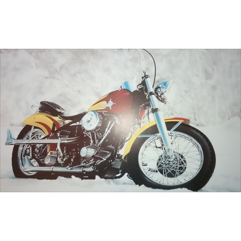 Reproduction - Moto SNOWEL, François BRUERE | bruereSNOW |