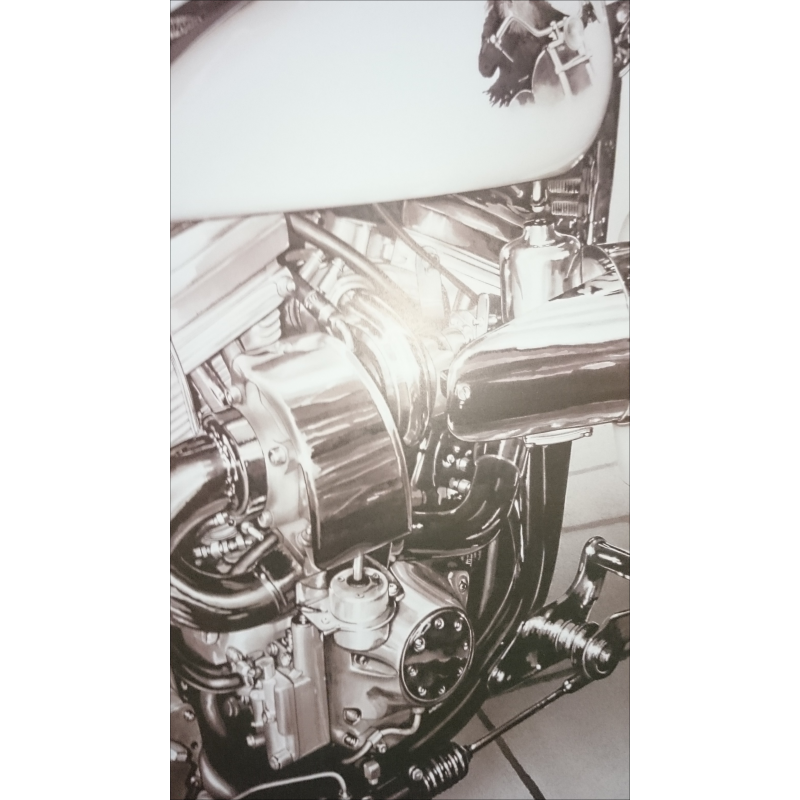 Reproduction - Moto TURBEVO, François BRUERE | bruereTURB |