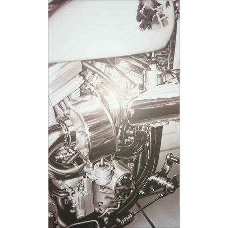 Reproduction - Moto TURBEVO, François BRUERE | bruereTURB |