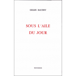 SOUS L'AILE DU JOUR de GILLES BAUDRY | 9782856683880 |