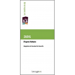 Zadig De Gwenhaël de Gouvello Ed. les Cygnes | 9782915459685 |
