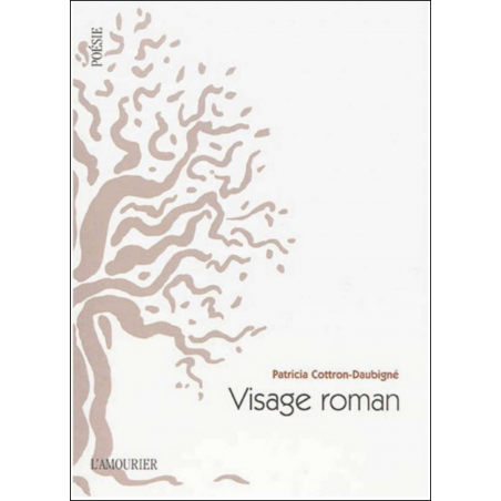 Visage roman. L'homme je commencerai par le pull De Patricia Cottron-Daubigné Ed. Amourier 9782915120974
