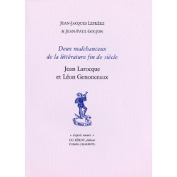 DEUX MALCHANCEUX DE LA LITTÉRATURE FIN DE SIÈCLE de J.J LEFRERE et J.P GOUJON | DEUX MALCHANCEUX |