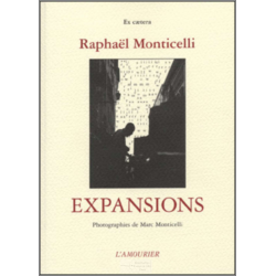 Bribes tirées de la mort de dom Juan. Vol. 4. Expansions : bribes C à CXXXII De Raphaël Monticelli Ed. Amourier | 97829151201...