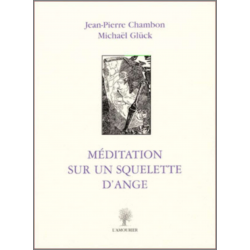 Méditation sur un squelette d'ange De Jean-Pierre Chambon et Michaël Glück Ed. Amourier | 9782915120097 |