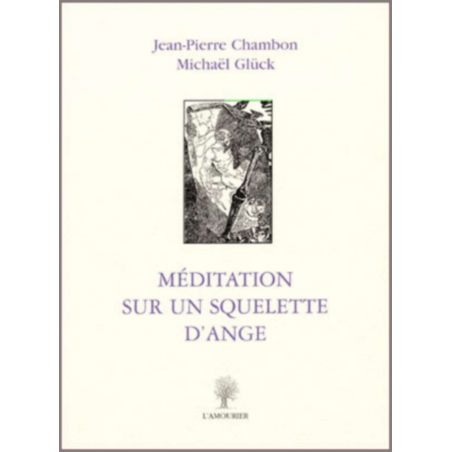 Méditation sur un squelette d'ange De Jean-Pierre Chambon et Michaël Glück Ed. Amourier | 9782915120097 |