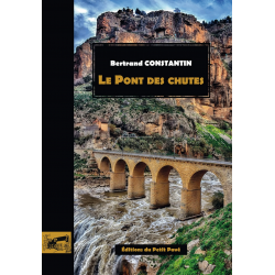 Le Pont des chutes De Bertrand Constantin Ed. Petit Pavé | 9782847126273 |