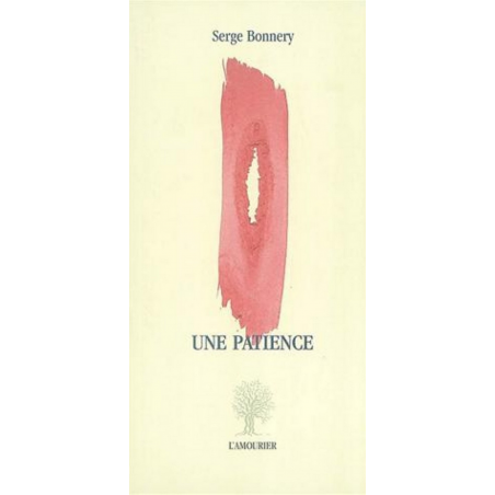 Une patience : fragments d'une mémoire retrouvée De Serge Bonnery Ed. Amourier 9782911718939