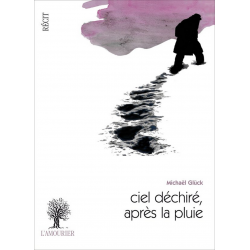 Ciel déchiré, après la pluie De Michaël Glück Ed. Amourier 9782364180543