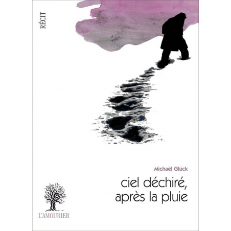 Ciel déchiré, après la pluie De Michaël Glück Ed. Amourier 9782364180543
