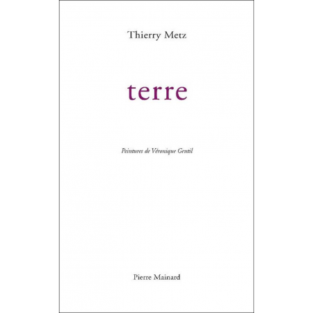 Terre De Thierry Metz | 9782913751835 |