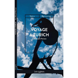 Voyage à Zurich De Jean-Benoît Patricot Ed. les Cygnes 9782369443582