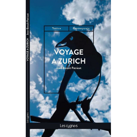 Voyage à Zurich De Jean-Benoît Patricot Ed. les Cygnes 9782369443582