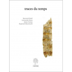 Traces du temps : sur une oeuvre de Leonardo Rosa De Bernard Noël , Alain Freixe , et Raphaël Monticelli Ed. Amourier 9782364...
