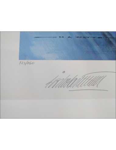 Lithographie Signé Damon Hill - Grand Prix du Brésil 1996 | The making of a champions |