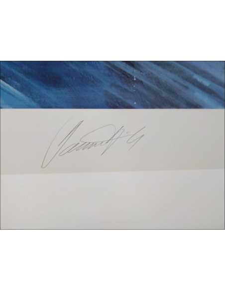 Lithographie Signé Damon Hill - Grand Prix du Brésil 1996 | The making of a champions |