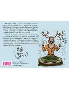 Contes symboliques des druides De Thierry Châtel Ed. Petit Pavé | 9782847127775 | 2