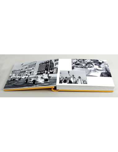Ayrton Senna by Bernard Bakalian EDITION LIMITÉE - 50 EXEMPLAIRES | Ayrton Senna |