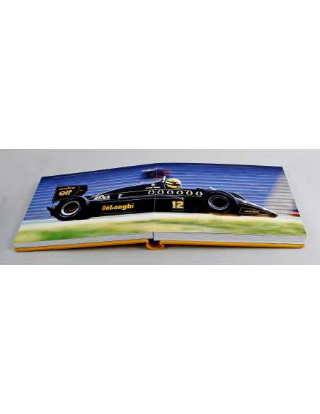 Ayrton Senna by Bernard Bakalian EDITION LIMITÉE - 50 EXEMPLAIRES | Ayrton Senna |