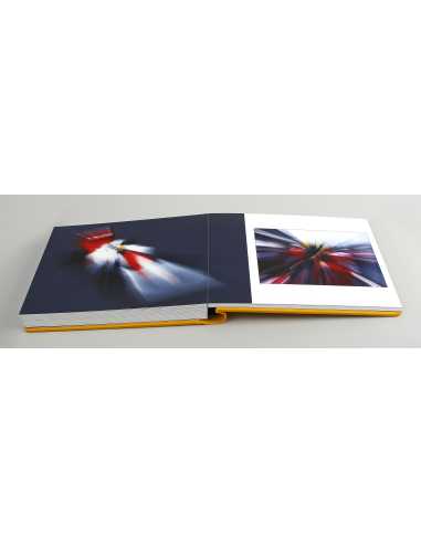 Ayrton Senna by Bernard Bakalian EDITION LIMITÉE - 50 EXEMPLAIRES | Ayrton Senna |