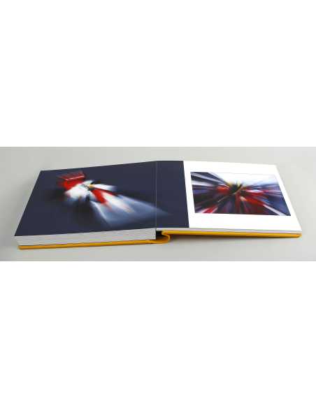 Ayrton Senna by Bernard Bakalian EDITION LIMITÉE - 50 EXEMPLAIRES | Ayrton Senna |