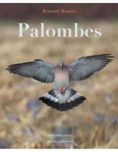 Palombes De Bernard Manciet Ed. Confluences | 9782355272899 |