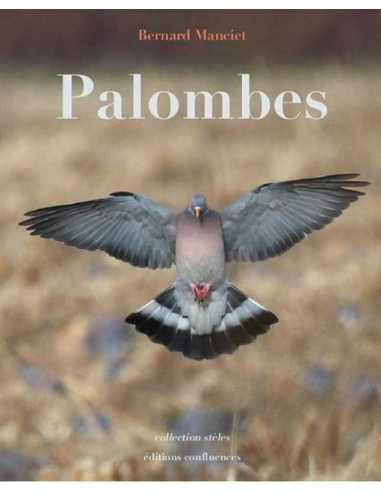 Palombes De Bernard Manciet Ed. Confluences | 9782355272899 |