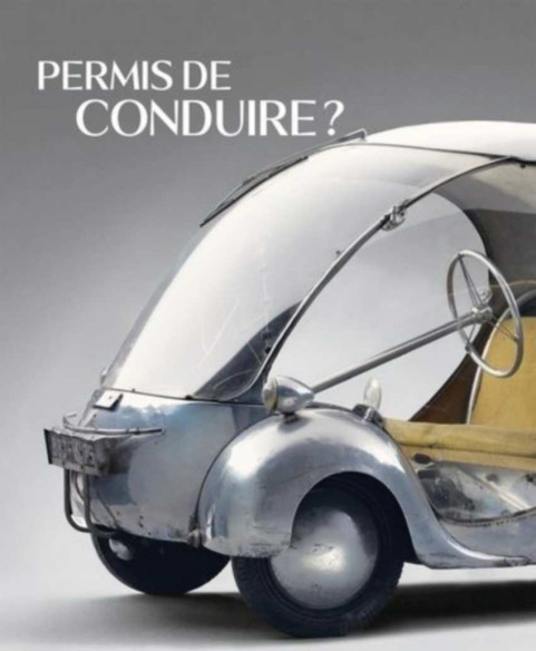 Permis de conduire ? | 9782359063820 |