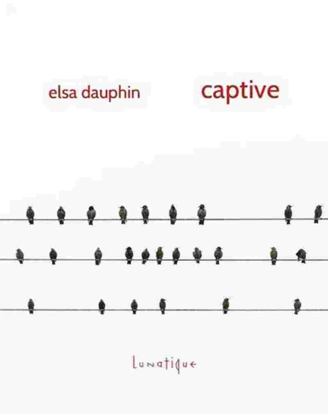 Captive De Elsa Dauphin | 9791097356002 |