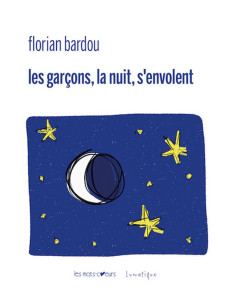 Les garçons, la nuit, s'envolent De Florian Bardou | 9782383980384 |